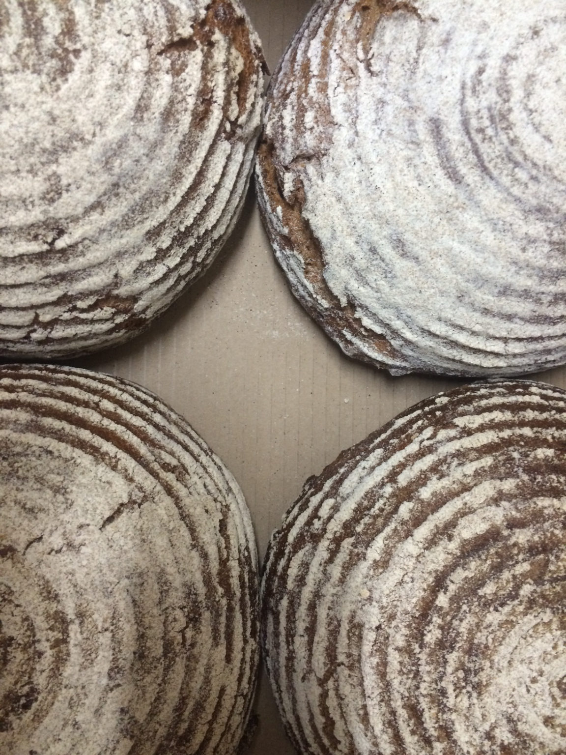 Scandinavian Rye Bread Hearty and Wholesome Dolce Forno